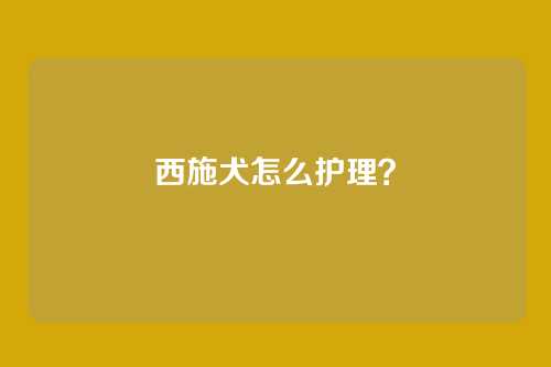 西施犬怎么护理?