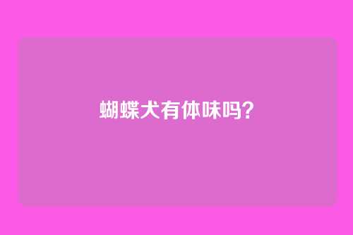 蝴蝶犬有体味吗？
