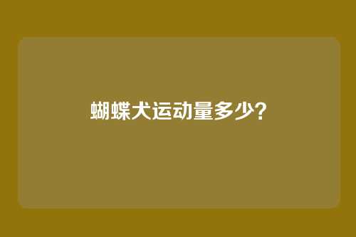 蝴蝶犬运动量多少?