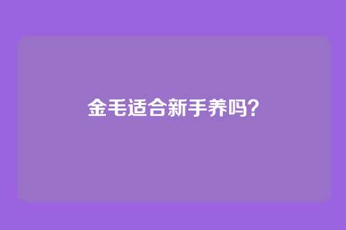 金毛适合新手养吗？