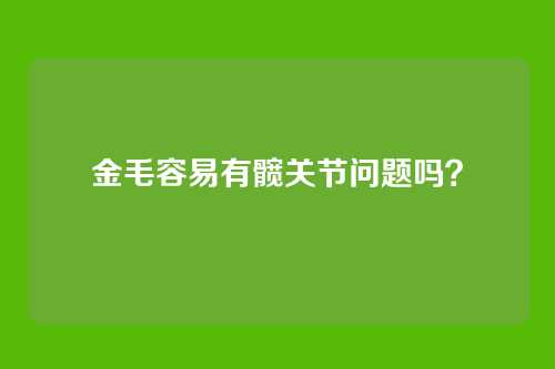 金毛容易有髋关节问题吗？