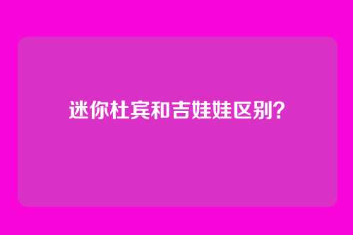 迷你杜宾和吉娃娃区别？