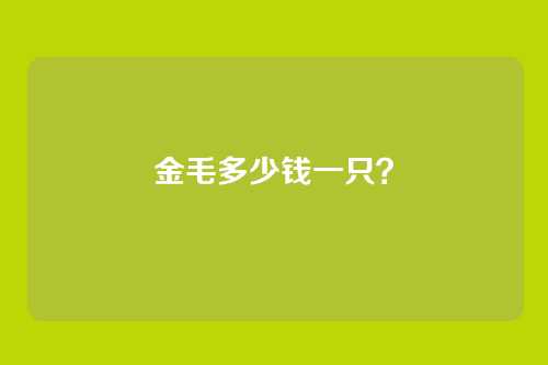 金毛多少钱一只?