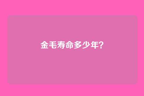 金毛寿命多少年？