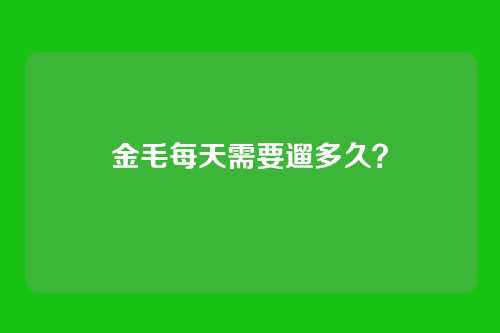 金毛每天需要遛多久？