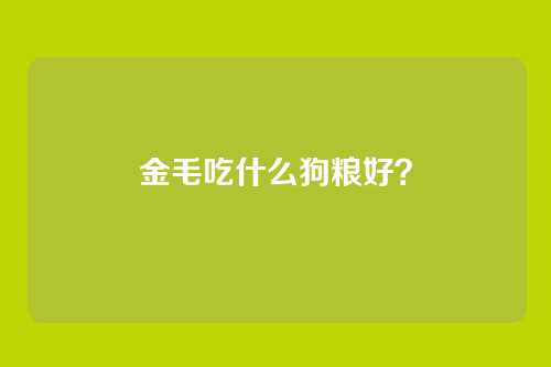 金毛吃什么狗粮好?