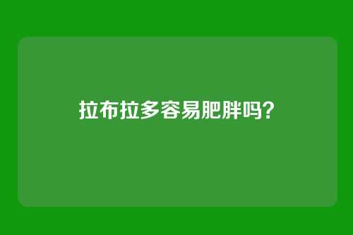 拉布拉多容易肥胖吗？