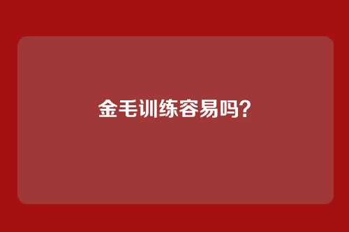 金毛训练容易吗？