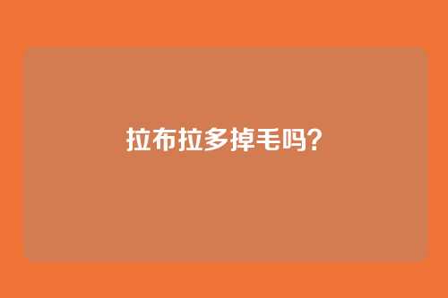 拉布拉多掉毛吗?