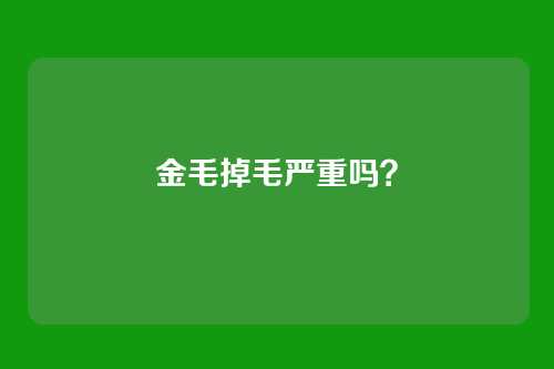 金毛掉毛严重吗?