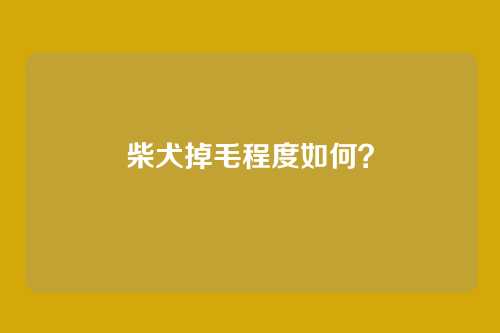 柴犬掉毛程度如何？