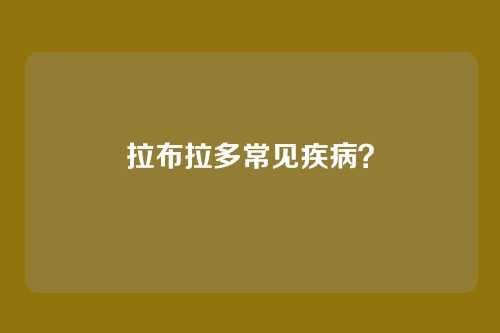 拉布拉多常见疾病？