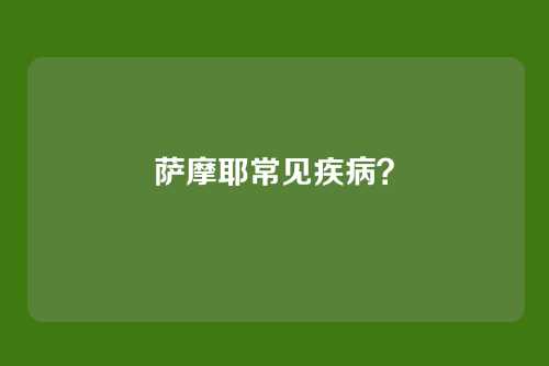 萨摩耶常见疾病？