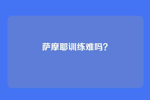 萨摩耶训练难吗？