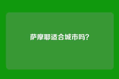 萨摩耶适合城市吗？