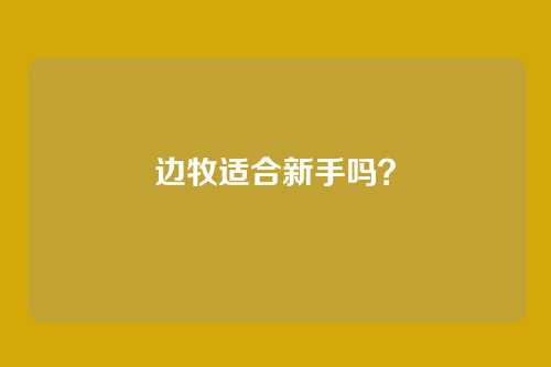 边牧适合新手吗？
