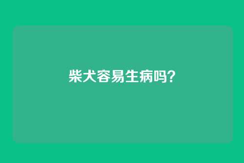 柴犬容易生病吗？