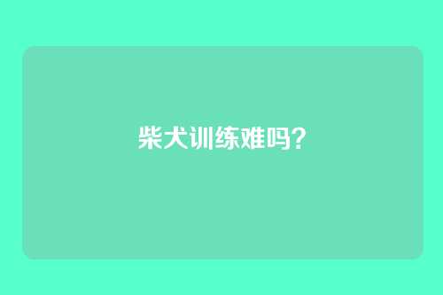 柴犬训练难吗？