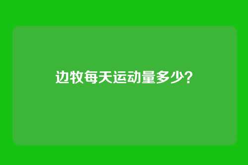 边牧每天运动量多少？