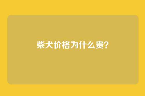 柴犬价格为什么贵？