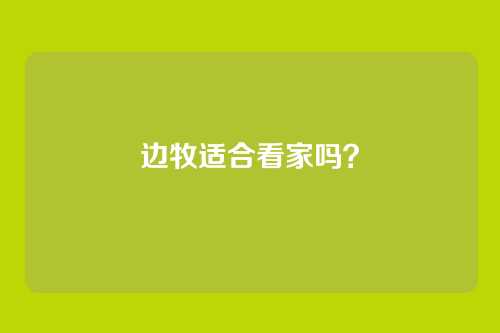 边牧适合看家吗？