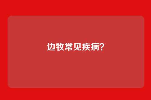 边牧常见疾病？