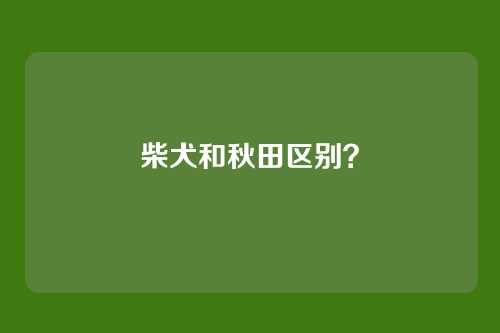 柴犬和秋田区别？