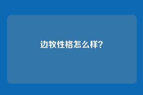 边牧性格怎么样？