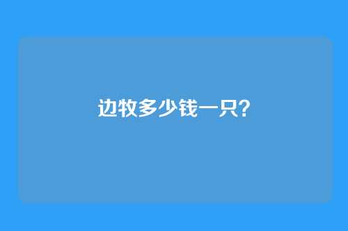 边牧多少钱一只？