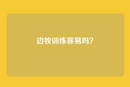 边牧训练容易吗？