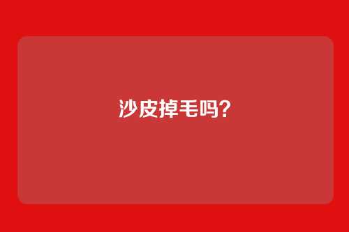 沙皮掉毛吗？