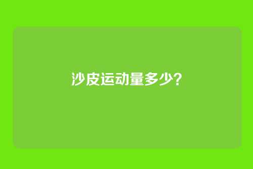 沙皮运动量多少？