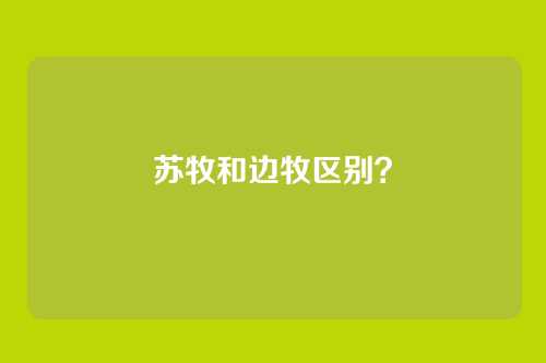 苏牧和边牧区别？
