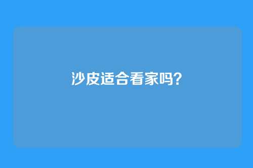 沙皮适合看家吗？