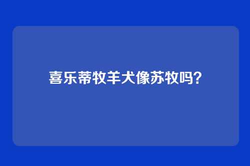 喜乐蒂牧羊犬像苏牧吗？