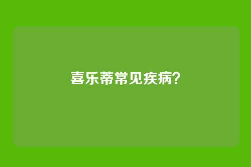 喜乐蒂常见疾病？