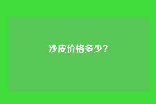 沙皮价格多少？