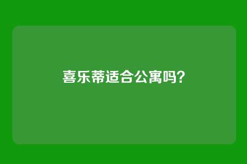 喜乐蒂适合公寓吗？