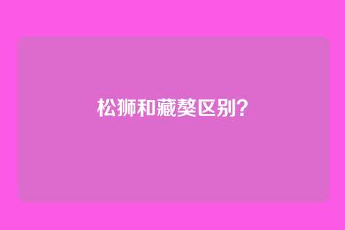 松狮和藏獒区别？