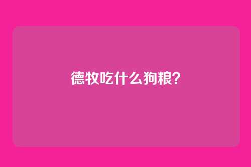 德牧吃什么狗粮？