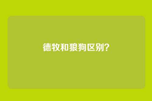德牧和狼狗区别？