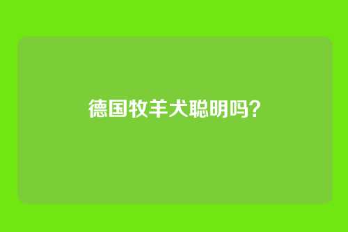 德国牧羊犬聪明吗？