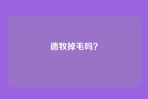 德牧掉毛吗？