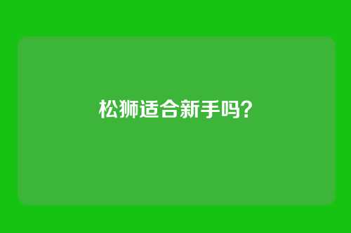 松狮适合新手吗？