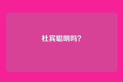 杜宾聪明吗？