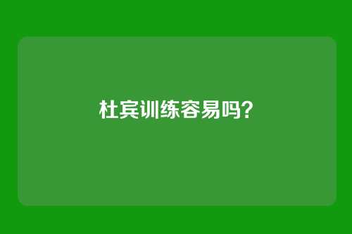 杜宾训练容易吗？