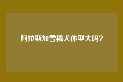 阿拉斯加雪橇犬体型大吗？