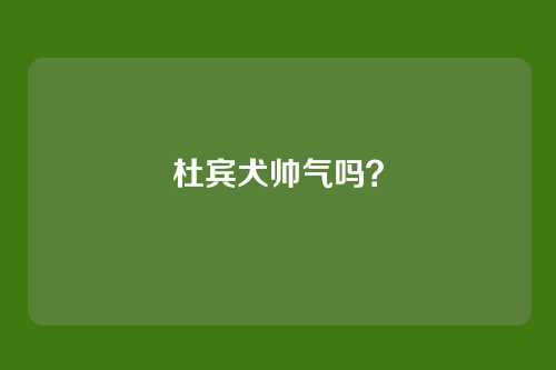杜宾犬帅气吗？