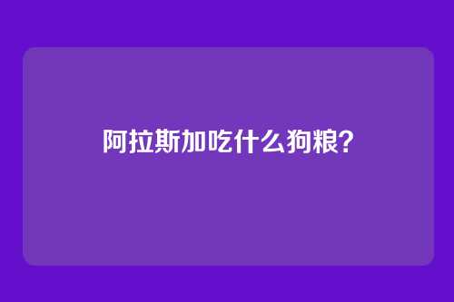 阿拉斯加吃什么狗粮？