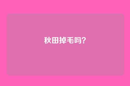 秋田掉毛吗？